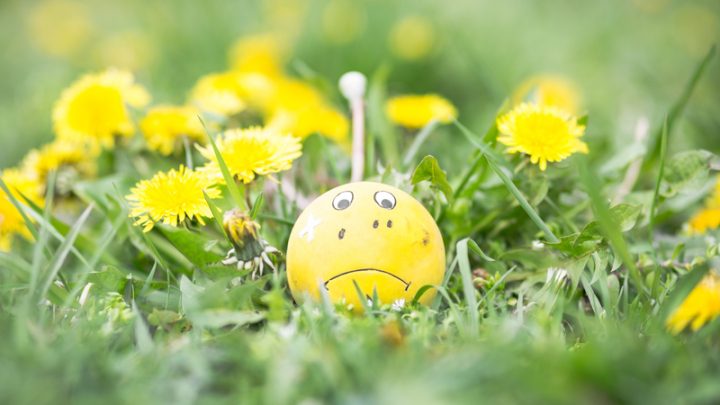 Yellow toy in the grass